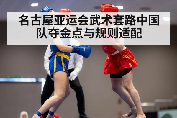 wushu taolu performance